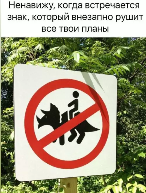 Смешная картинка №752022