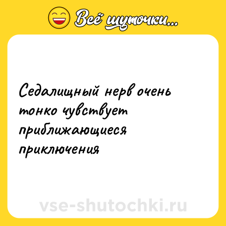 Шутка: Седалищный нерв очень тонко чувствует приближающиеся приключения