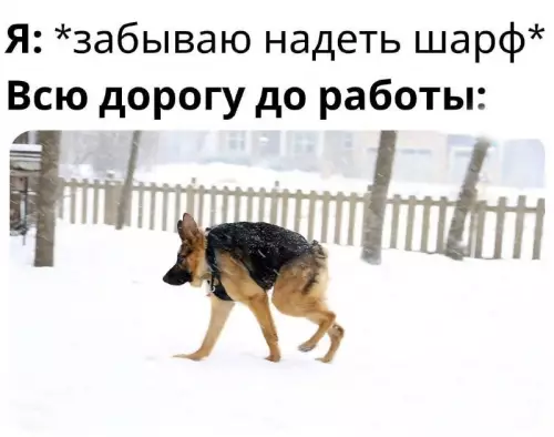 Смешная картинка №677404
