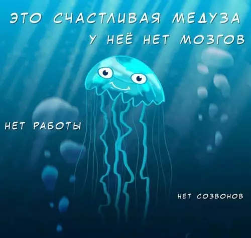 Смешная картинка №805411