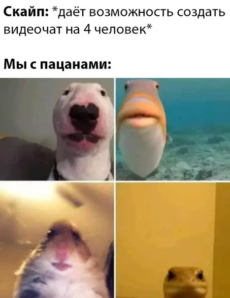 Смешная картинка №469842