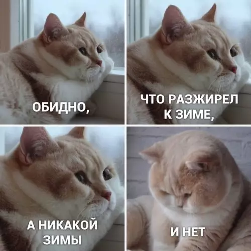 Смешная картинка №452139