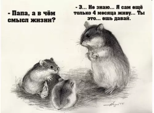 Смешная картинка №239456 Молодой родитель
