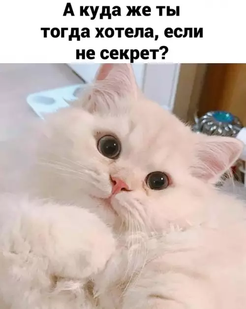продолжение Смешная картинка №656043