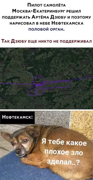 Смешная картинка №537432