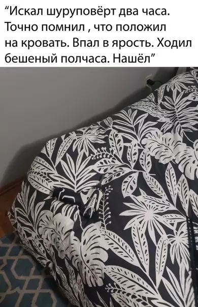Смешная картинка №492346