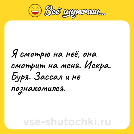 Шутка: Я смотрю на неё, она смотрит на меня. Искра. Буря. Зассал и не познакомился.