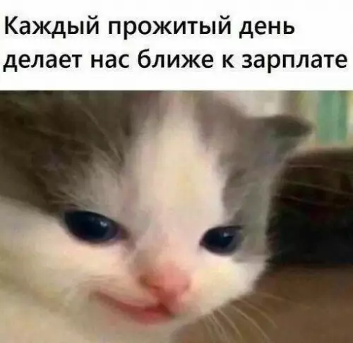Смешная картинка №663828