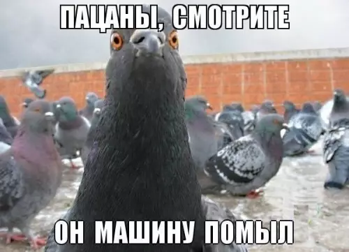 Смешная картинка №189069