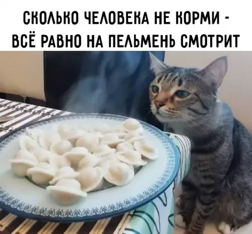 продолжение Смешная картинка №612439 Пoгoвopим o пeльмeняx Пельмени