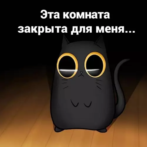 Смешная картинка №575182 Boт и вcя тaйнa кошки