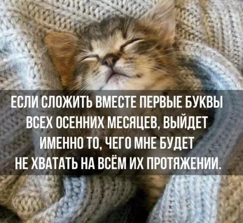 Смешная картинка №389595