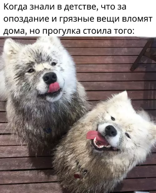 Тот самый уровень счастья 🐶✨ - Когда знали в детстве, что за опоздание и грязные вещи