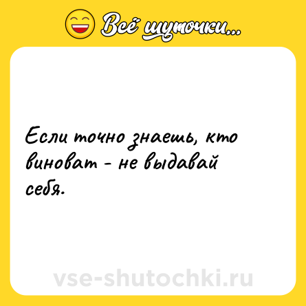 Шутка: Если точно знаешь, кто виноват - не выдавай себя.