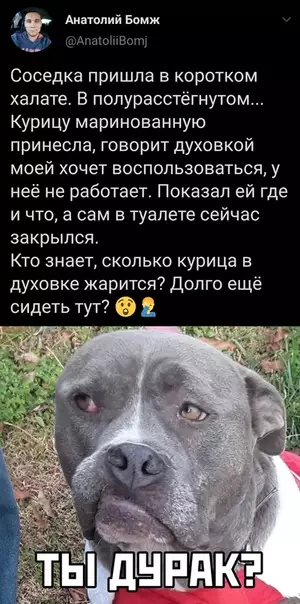 Смешная картинка №467328