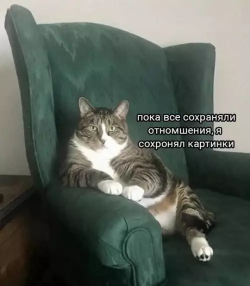Смешная картинка №739429 Эх