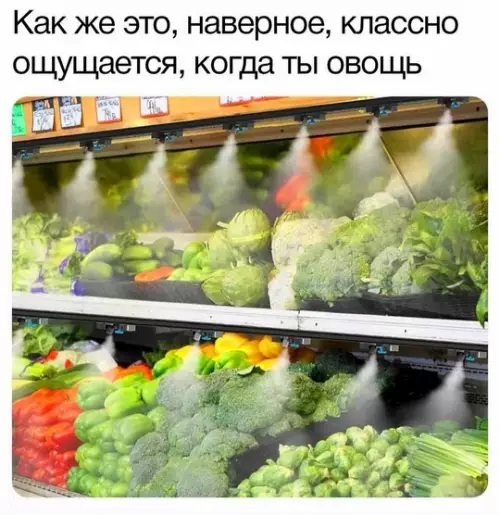 Смешная картинка №769084