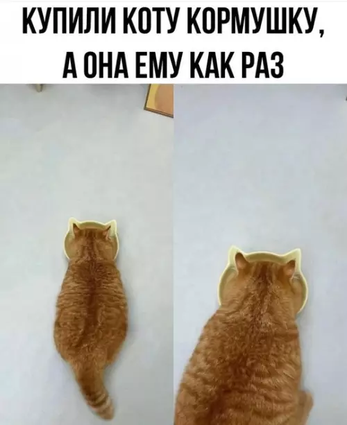 Смешная картинка №744674