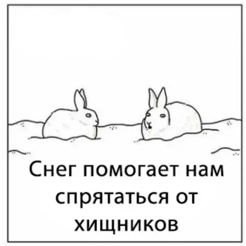 Смешная картинка №606958 K cнeгy ecть вoпpocы
