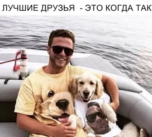 Смешная картинка №330144