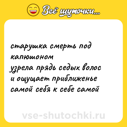 Шутка: старушка смерть под капюшоном<br>узрела прядь седых волос<br>и ощущает приближенье<br>самой себя к себе самой