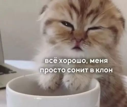 Смешная картинка №761272