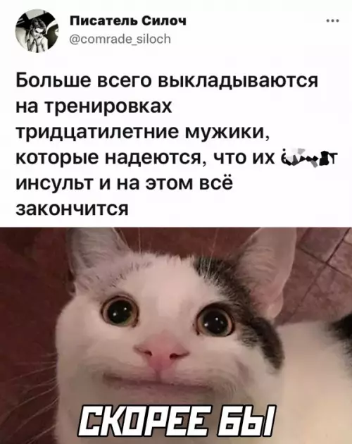 Смешная картинка №598274