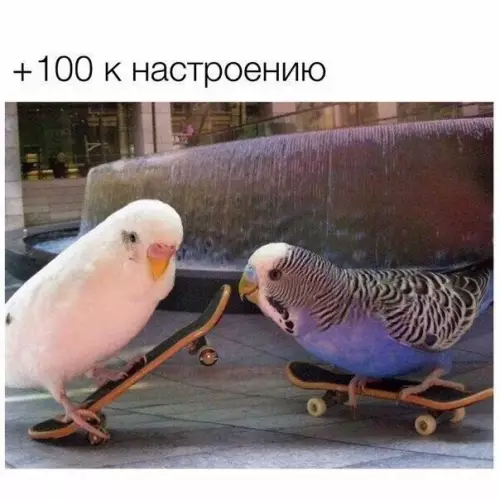 Смешная картинка №192946