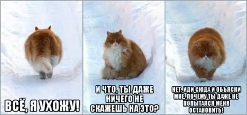 Смешная картинка №410873 Девушки