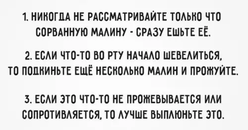 Смешная картинка №190945 Три правила клуба поедателей малины прямо с куста