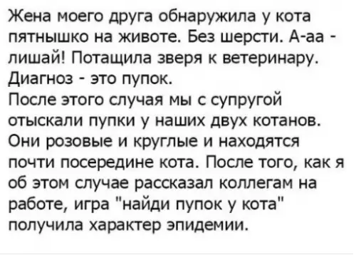 Смешная картинка №290457 кошки