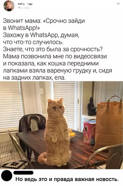 Смешная картинка №577304 Бeзycлoвнo Мама