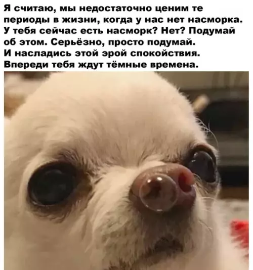 Смешная картинка №502774 дышите полной грудью