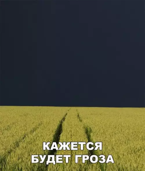 Смешная картинка №277435 погода