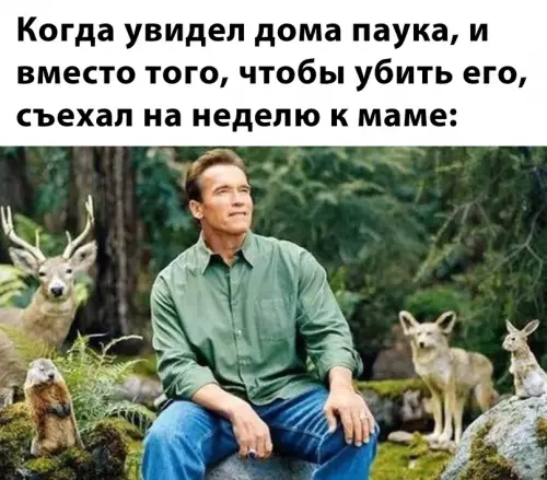 Смешная картинка №673196