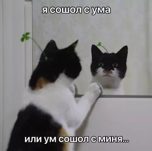 Смешная картинка №755407
