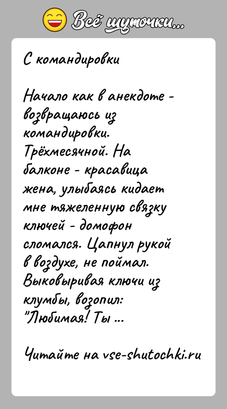 История: С командировкиНачало как в анекдоте - возвращаюсь из командировки. Трёхмесячной. На балконе - красавица жена, улыбаясь кидает мне тяжеленную связку