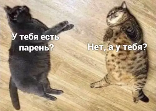 Смешная картинка №497602