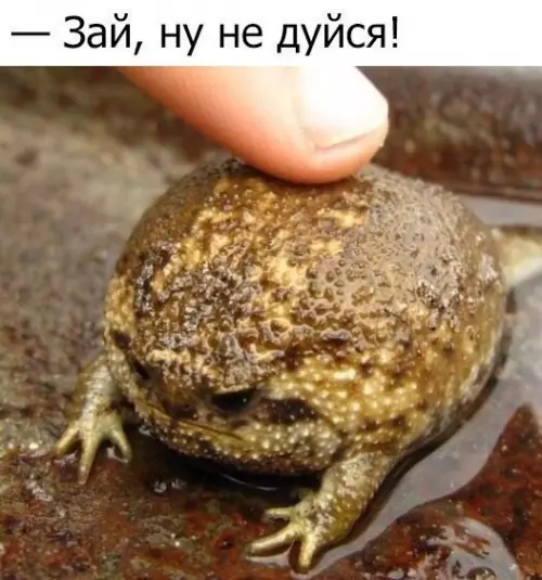 Смешная картинка №179187