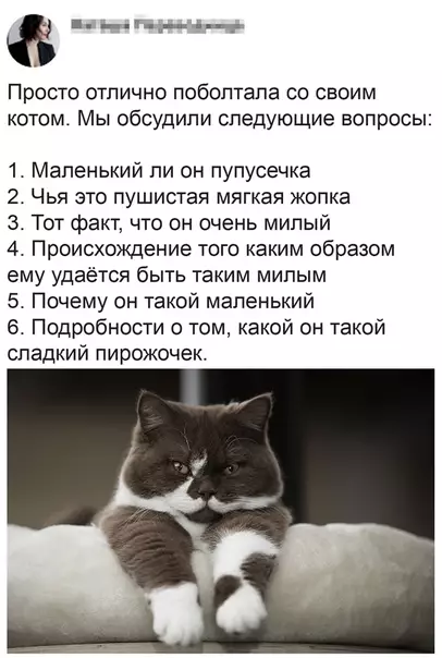 Смешная картинка №493203 Чудесная беседа и собеседник приятный.