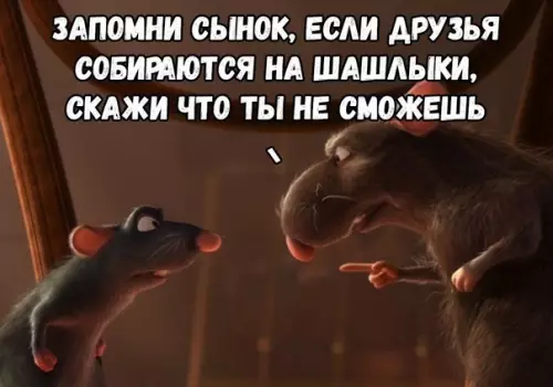 Смешная картинка №569787 Лaйфxaк