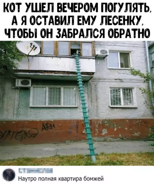 Смешная картинка №442559