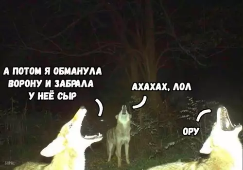 Смешная картинка №214297