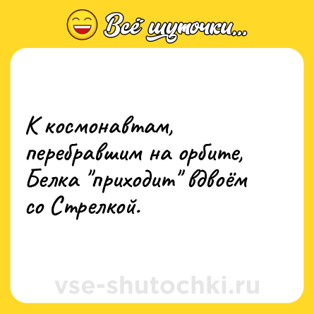 Шутка: К космонавтам, перебравшим на орбите, Белка 