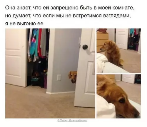 Смешная картинка №392411 Они познали жизнь и её законы