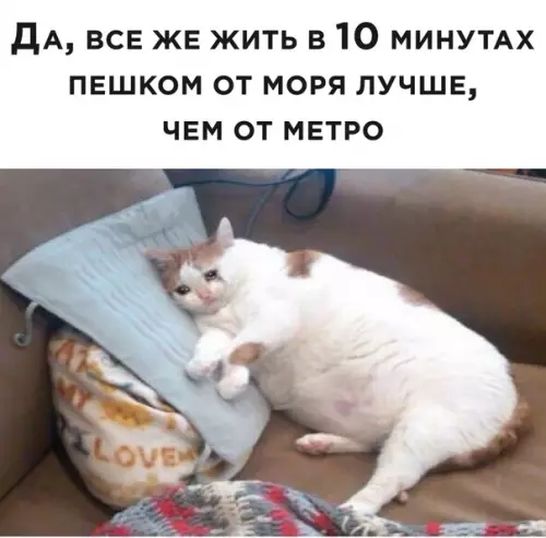 Смешная картинка №496511