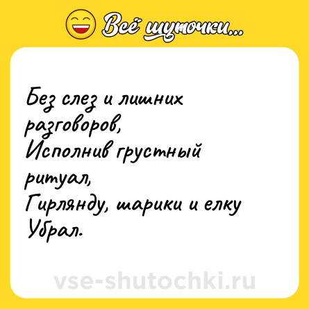 Шутка: Без слез и лишних разговоров,<br>Исполнив грустный ритуал,<br>Гирлянду, шарики и елку<br>Убрал.
