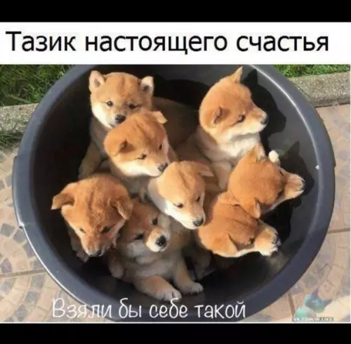 Смешная картинка №328478