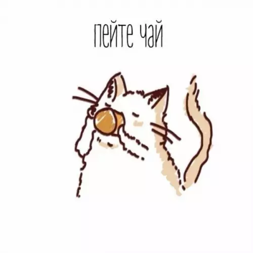Смешная картинка №215469 Совет дня