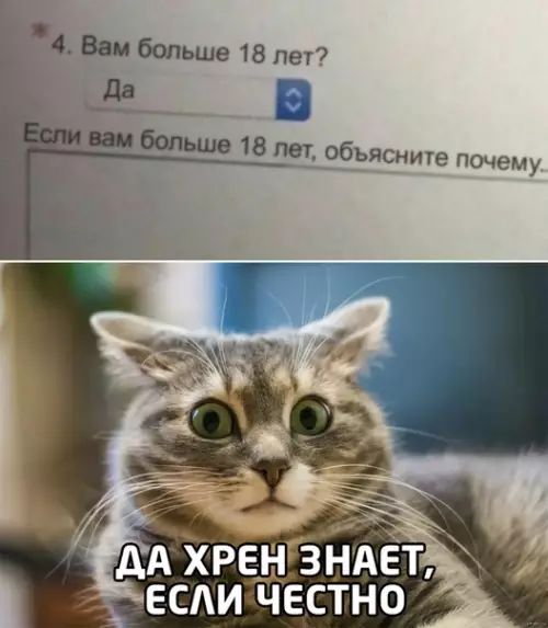 Смешная картинка №494064